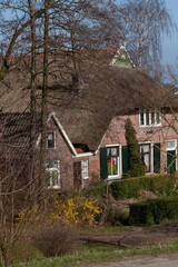Fototapeta na wymiar Farmhouse neear river IJssel. Netherlands Gelderland