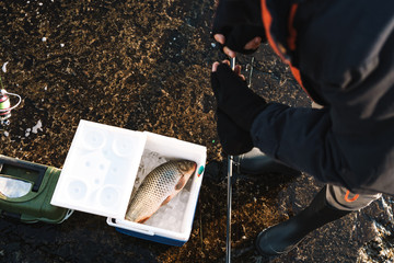 Close up of a fisherman putting caught fish