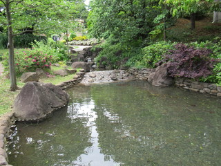 Naklejka na ściany i meble Garden Stream Japan