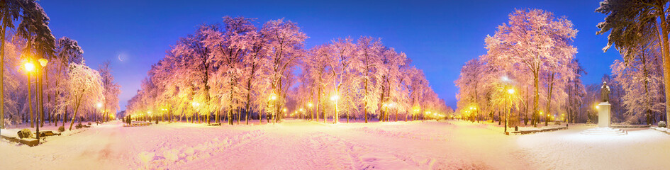 evening park after snowfall