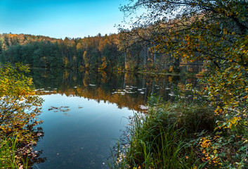 Silence at the forest lake at sunset, with reflection of forest on a water smooth surface, Russia, Mari El