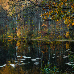 The forest lake at sunset, with reflection of sky and forest on a water smooth surface, Russia, Mari El