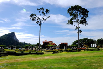 Fototapeta premium trees and green fields with sky and white clouds
