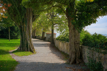 Pfade