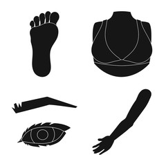 Isolated object of body and part logo. Set of body and anatomy vector icon for stock.