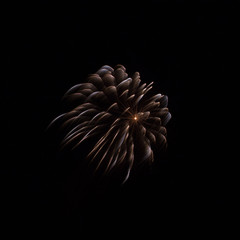 Naklejka na ściany i meble fireworks ARE NOT cut out and put on to black backgrounds, images are almost straight from camera basic lightroom editing done to photo-small crop-darken-add vibrance-mild clone and spot healing.