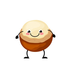 Cute cartoon macadamia vector illustration isolated on white background.  Kawaii macadamia
