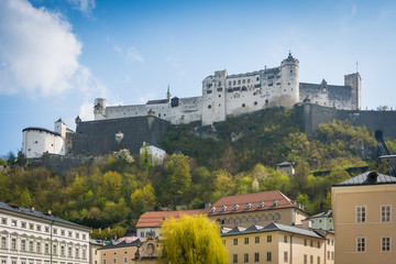 Fototapeta premium Festung Hohensalzburg über der Altstadt in Salzburg - Österreich
