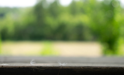 wooden table on blurred background of nature of forest and park