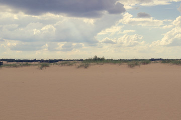 Naklejka premium Sand dunes and dry grass, white clouds on a bright blue sky.
