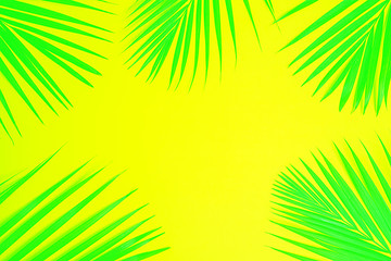 Fototapeta na wymiar Tropical green palm leaves on neon yellow background. Minimal nature summer concept. Top view, flat lay, copy space.