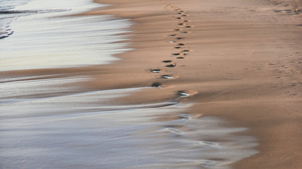 footprints in the sand from the feet of a lost person. no way out of the situation. return to the be