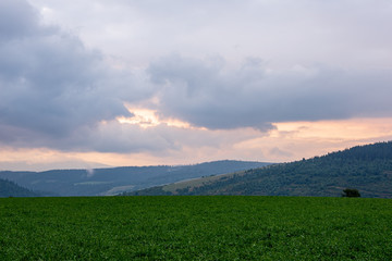 misty and cloudy sunrise above green fields and forests