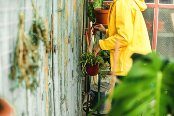 Women in her backyard garden