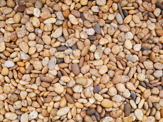 nature pebble stone background