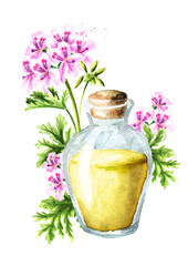 Pelargonium graveolens or Pelargonium x asperum, geranium flower and essential oil. Watercolor hand drawn illustration isolated on white background