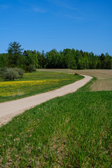 dirty gravel countryside gravel road in summer