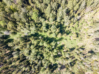 aerial view of countryside fields and forests in green summer day