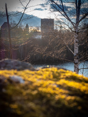 Fototapete bei efototapeten.de bestellen   