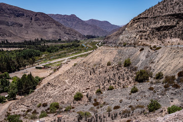 Blick ins Elqui-Tal