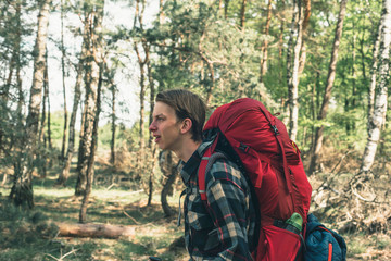 Backpacker hiking in forest in spring.