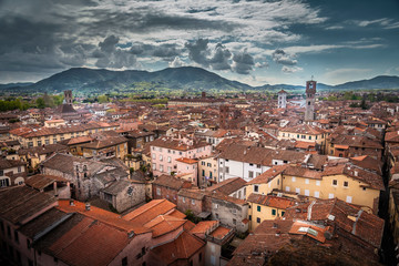 Aerial cityscape of Lucca, Tuscany - obrazy, fototapety, plakaty