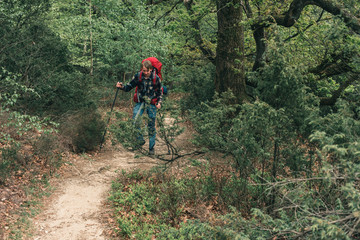 Obraz premium Backpacker hiking on footpath in forest in spring.