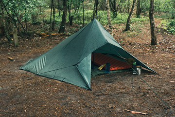 Green tent in forest in spring. © ysbrandcosijn