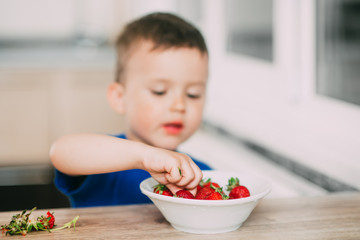 Baby boy in the kitchen eating strawberries very ripe and tasty, stocked with vitamins