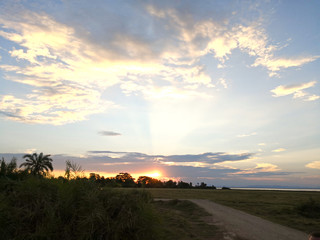 Fototapeta na wymiar Africa Savanah Sunset