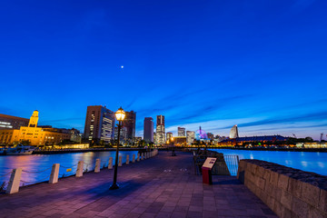 Fototapeta premium 象の鼻パークと横浜みなとみらいの夜景