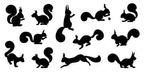 squirrel silhouette - obrazy, fototapety, plakaty