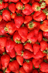 Many fresh ripe strawberries as background, closeup 