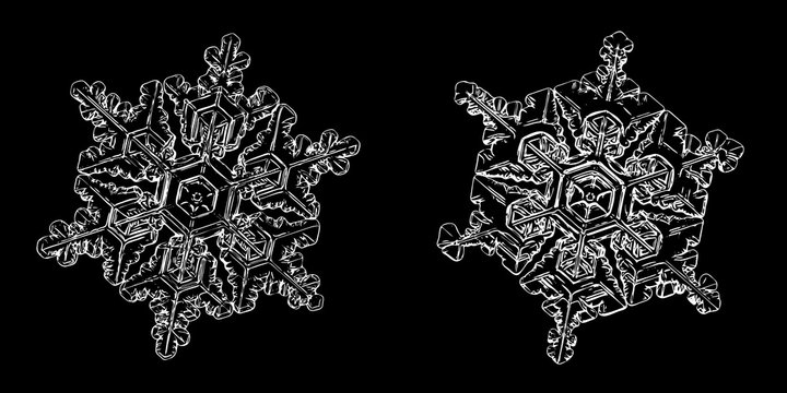 Two snowflakes isolated on black background. Illustration based on macro photos of real snow crystals: elegant star plates with fine hexagonal symmetry, short, simple arms and complex inner details.