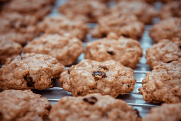 Oatmeal cookies and dried raisins.