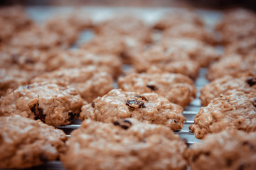 Oatmeal cookies and dried raisins.