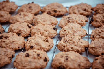 Oatmeal cookies and dried raisins.