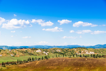 Fototapeta na wymiar Summer view of Crete Senesi in Tuscany, Italy