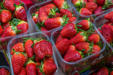 Background of fresh strawberries in plastic boxes.