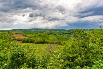 Fototapeta na wymiar Mount Fruska Gora. Beautiful arable land in Vojvodina, orchards and fertile agricultural soil near the Fruska Gora, Serbia