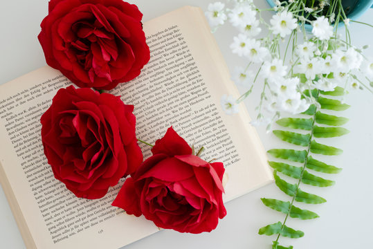 Rote Rosen und das Buch, Stillleben