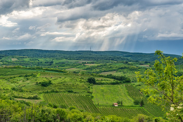 Fototapeta na wymiar Mount Fruska Gora. Beautiful arable land in Vojvodina, orchards and fertile agricultural soil near the Fruska Gora, Serbia