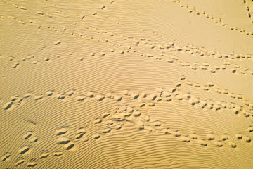 abstract view of people trails and paths on sand dunes in desert