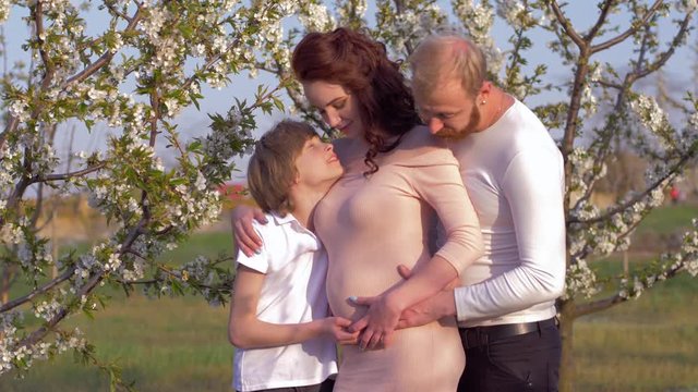 family idyll, happy male with pregnant female and teen son embrace in flowering spring orchard near fruit tree in bloom