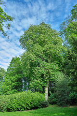 Landschaften zwischen Bensheim und Heppenheim