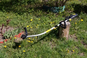  Electric trimmer for mowing lawns, against the background of green grass and yellow dandelions.