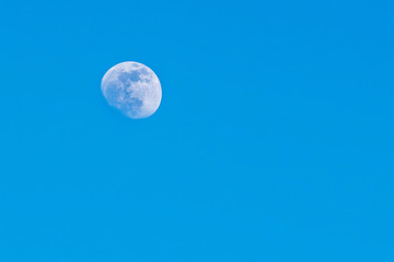 Moon during the day, against a flawless beautiful blue sky, close-up