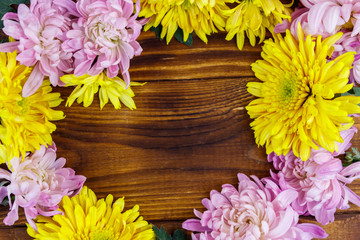 Beautiful chrysanthemums on wooden background. Top view, copy space