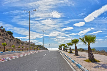 road facing the sea and deep blue sky with clouds, and palm tree on the side. 