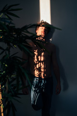 Man standing near plant with shadow light